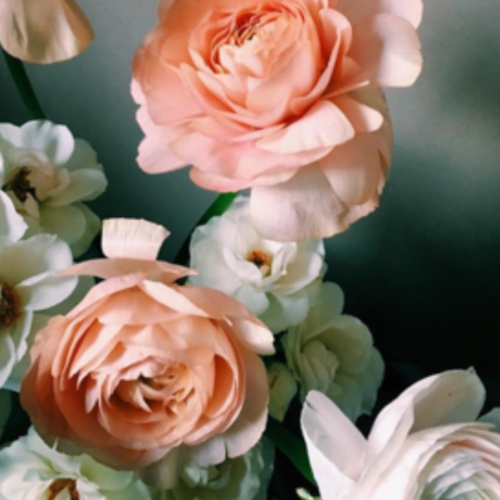 Meet your Posher, Lara